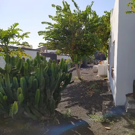 Under The Volcano In Playa Blanca