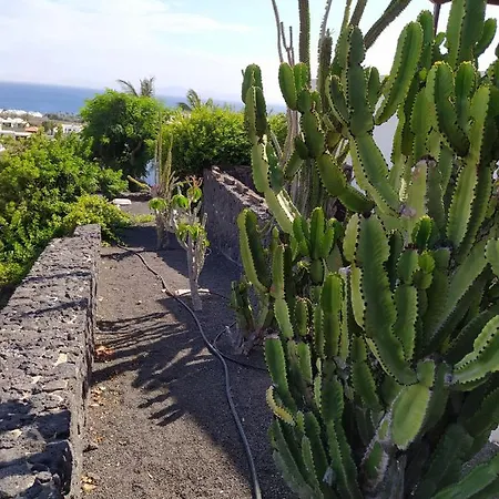 Under The Volcano In Playa Blanca